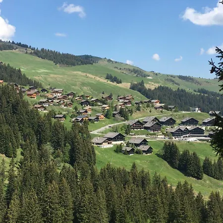 Lys 14 Rue Sigma Appartement