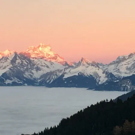 Appartement Lys 14 Rue Sigma *