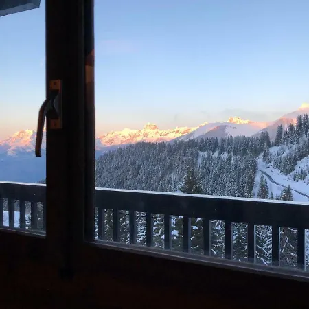 Lys 14 Rue Sigma Champoussin