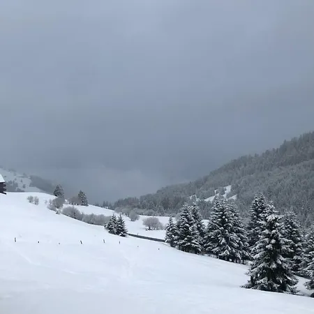 Appartement Lys 14 Rue Sigma *