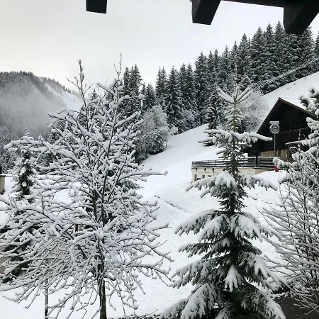 Appartement Lys 14 Rue Sigma *