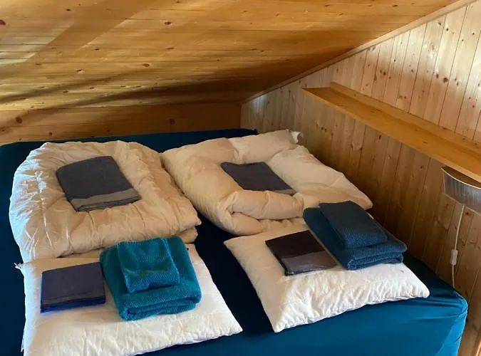 Lys 14 Rue Sigma Шампуссин