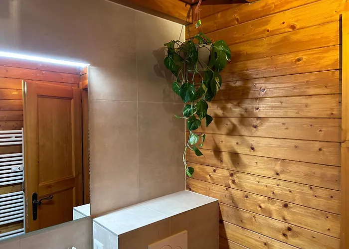 Апартаменты Lys 14 Rue Sigma Шампуссин