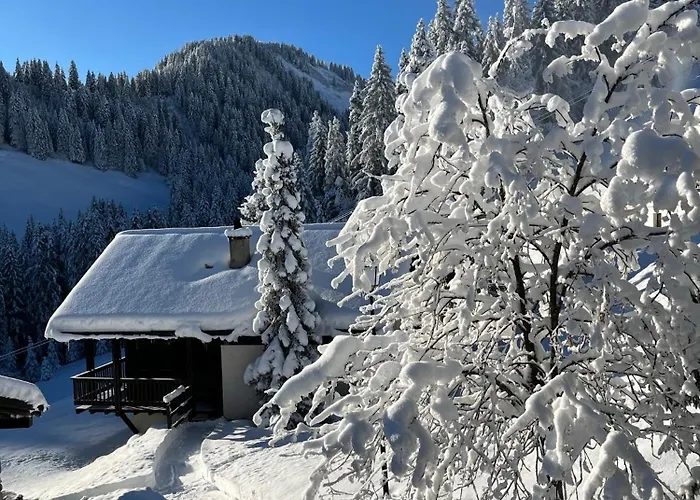 Апартаменты Lys 14 Rue Sigma