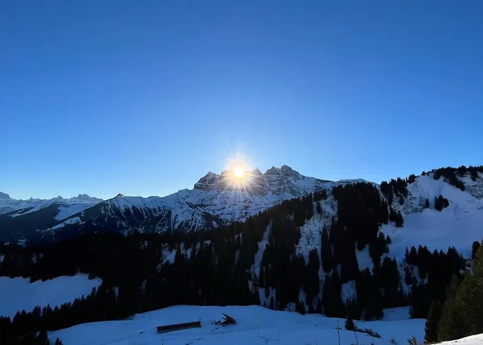 Lys 14 Rue Sigma Шампуссин