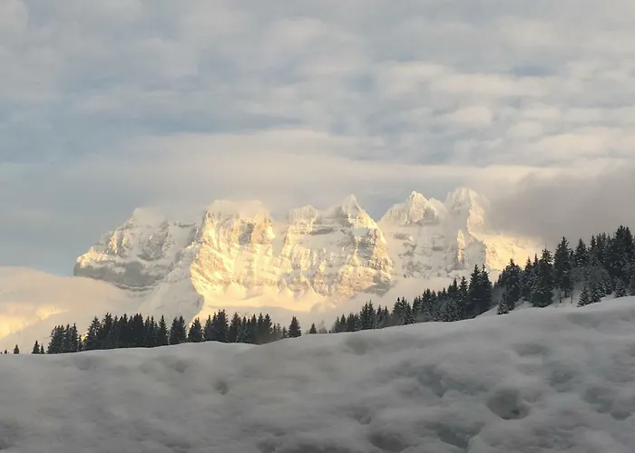 Апартаменты Lys 14 Rue Sigma