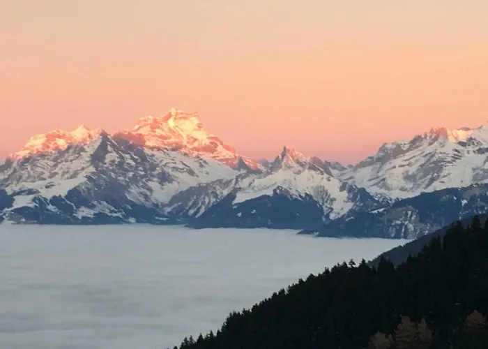 Апартаменты Lys 14 Rue Sigma *