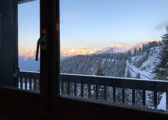 Lys 14 Rue Sigma Шампуссин