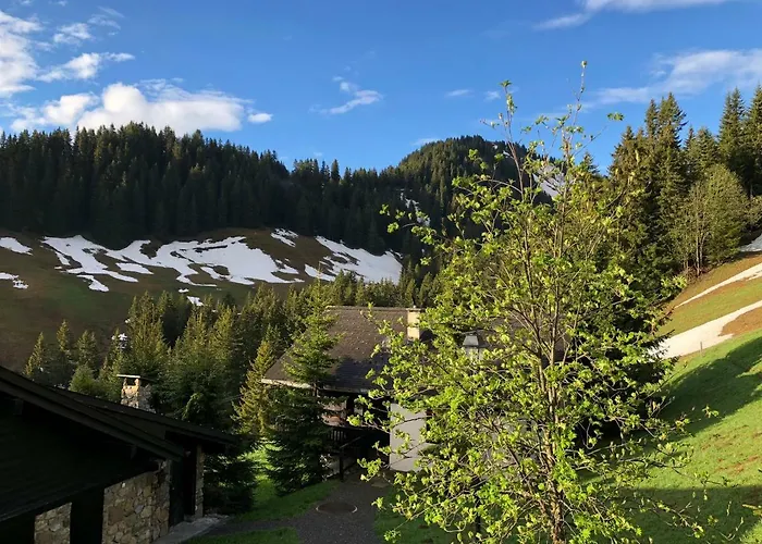 Апартаменты Lys 14 Rue Sigma