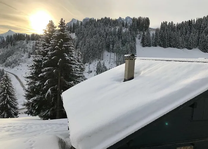 Lys 14 Rue Sigma * Шампуссин