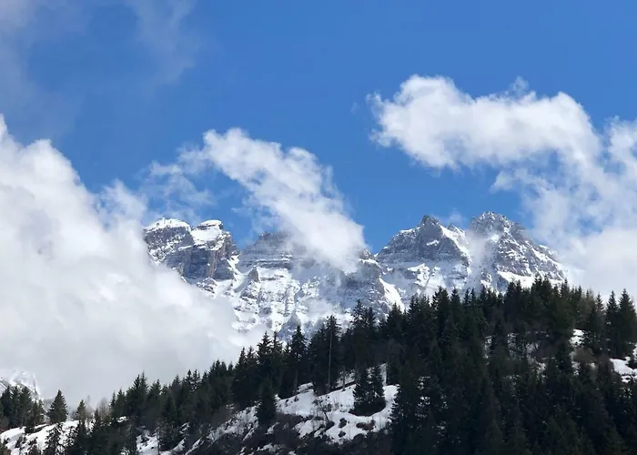 Lys 14 Rue Sigma Шампуссин