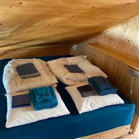 Lys 14 Rue Sigma Champoussin