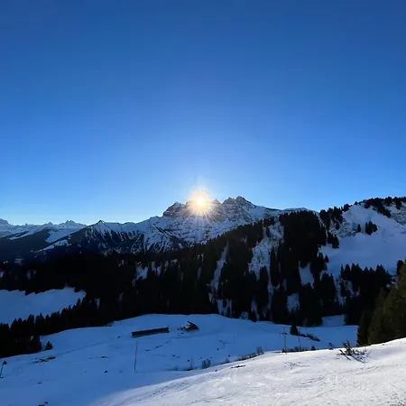 Lys 14 Rue Sigma Champoussin