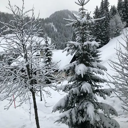 Lys 14 Rue Sigma * Champoussin