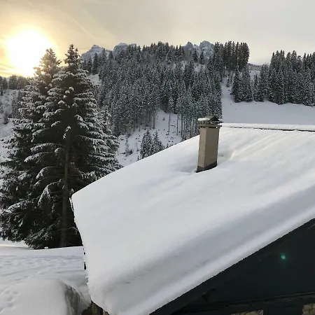 Lys 14 Rue Sigma * Champoussin