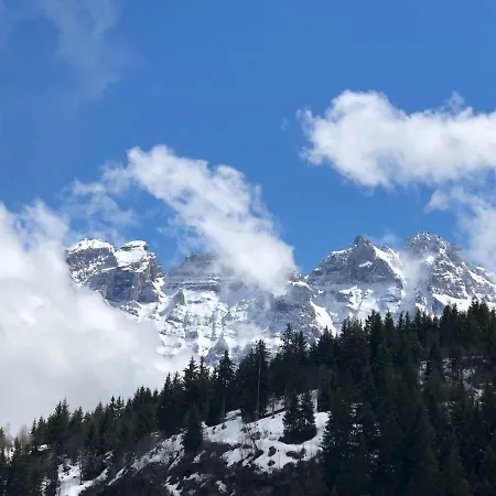 Lys 14 Rue Sigma Champoussin